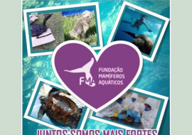 Fundação Mamíferos Aquáticos