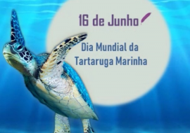 Dia Mundial da Tartaruga Marinha
