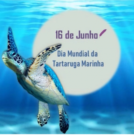 Dia Mundial da Tartaruga Marinha