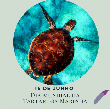 Dia Mundial da Tartaruga-marinha