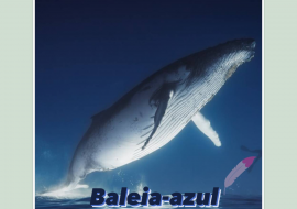Baleia-azul Scamonis